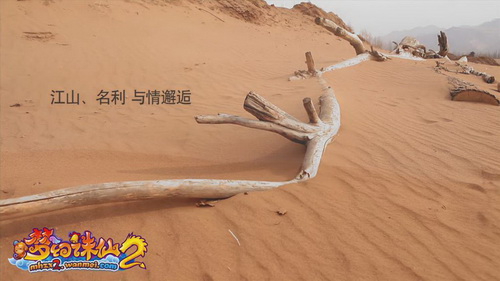 图片: 0101.jpg